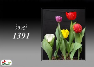 تصویر نمونه تولیدات لاله گلستان علی در نوروز 91