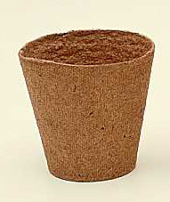 نمونه یک گلدان جی‌فی بدون خاک همراه