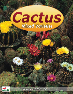 cactus-lable-seeds