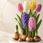 پیاز لاله و سنبل هلندی رسید