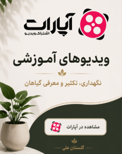 Untitled design-4