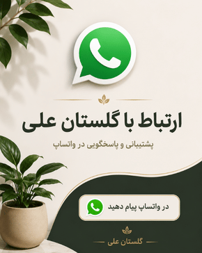 Untitlewhatsappd design-5