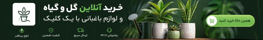 cbd2494f-8657-4ff7-8343-b94d604d2d70