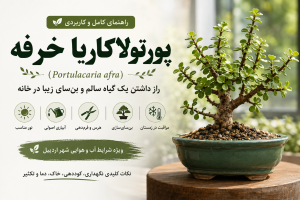 گیاه پورتولاکاریا خرفه