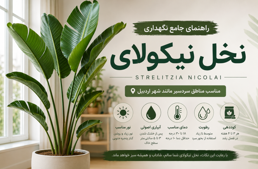 نخل نیکولای