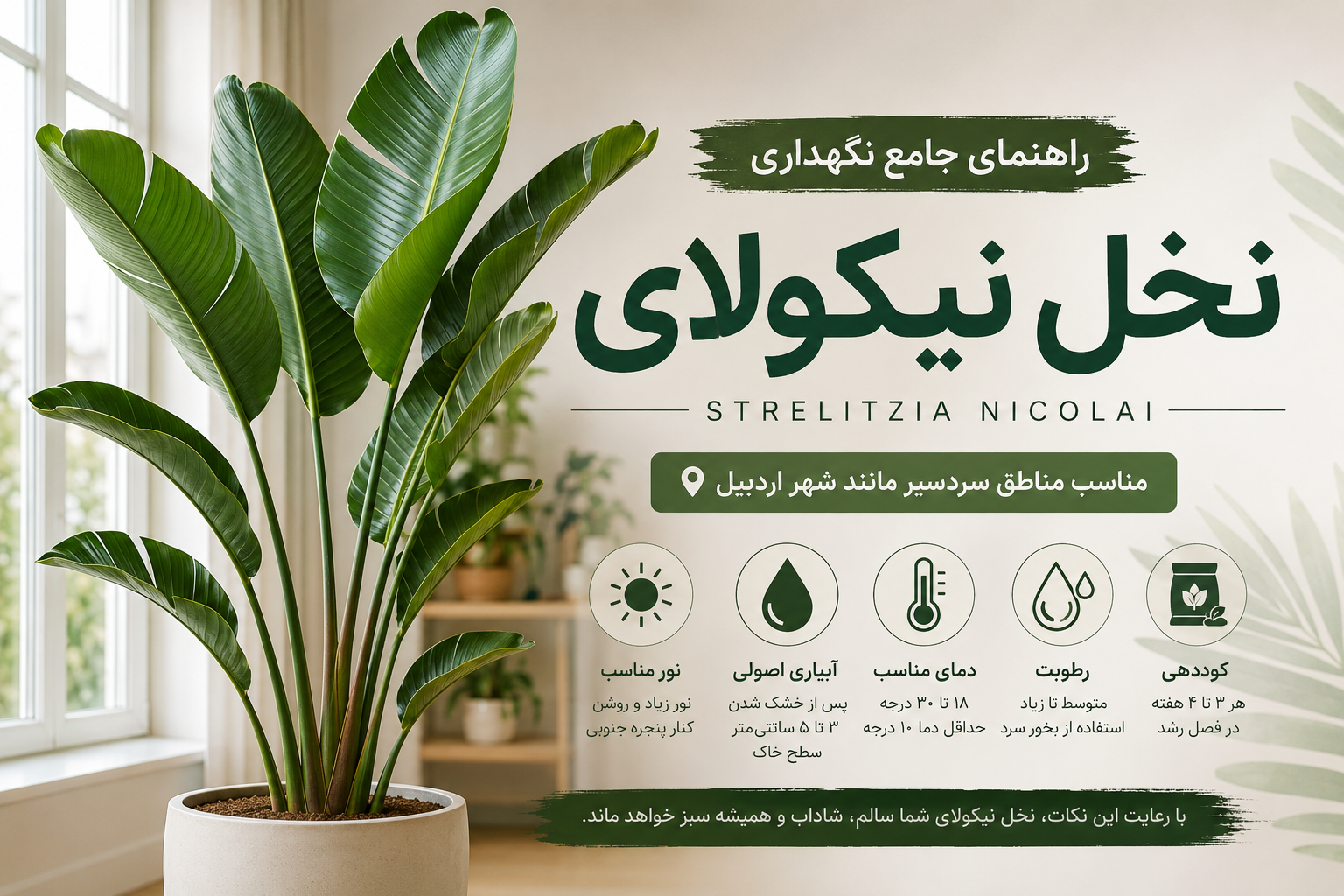 نخل نیکولای